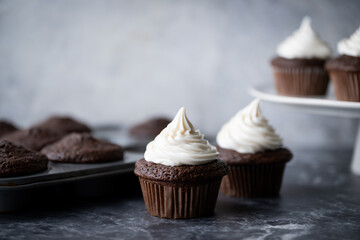 chocolate cupcake with white icing on dark background