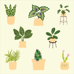 Indoor potted plant illustration. Home Decoration. Tropical leaves in stylish planters and pots.