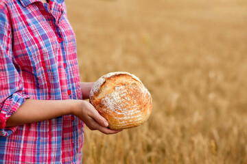 A female farmer in a straw hat and checkered shirt holds fragrant bread in her hands on a ripe...