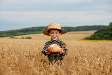 Little boy in the straw hat and shirt he held out his handing with bread in ripe grain. concept...
