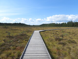 Fototapeta premium wooden bridge over the river