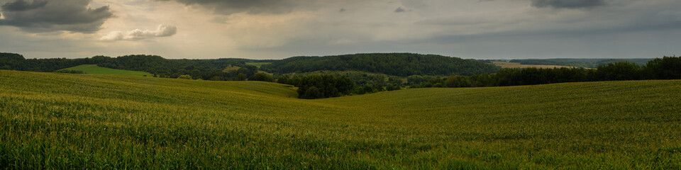 green hilly corn field with forests under a cloudy sky. widescreen panoramic side view. evening agricultural landscape