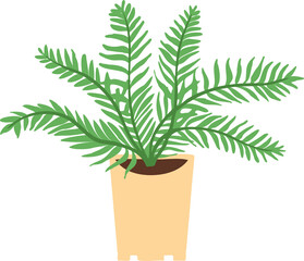 Indoor potted plant boston fern illustration
