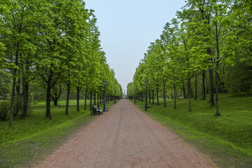 Fototapeta na wymiar Walking path through a beautiful green park in Tallinn