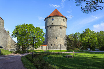 Fototapeta na wymiar Medieval tower and fortress walls of Old Town Tallinn