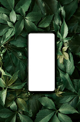 White empty mobile phone screen template mockup for product app ads on green leaves nature organic cosmetic flat lay background, trendy stylish minimalist flatlay vertical backdrop. Smartphone mock up