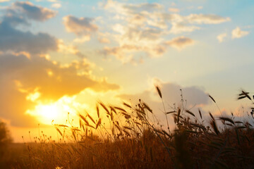 Picturesque view of beautiful countryside at sunset