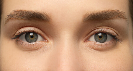 Closeup view of woman with beautiful eyes. Banner design