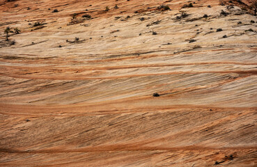 Orange Texture of Sandstone Cliff