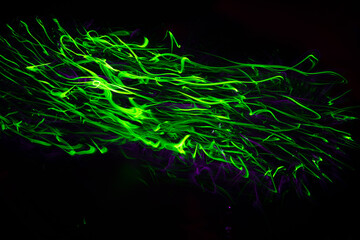 Colorful light trails with motion blur effect. defocused