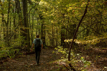 Man Hikes Through Forest in Early Fall