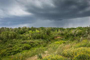 Fototapeta na wymiar Summer Storm Clouds over Beaver Creek Conservatory