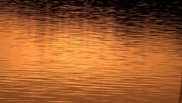 Beautiful reflection sunset with rippling water and golden light serine and relaxing background UK 4K