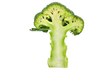image of isolated broccoli for illustration