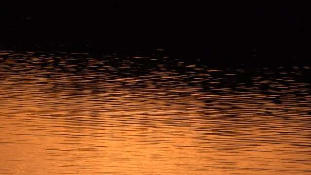 Beautiful reflection sunset with rippling water and golden light serine and relaxing background UK 4K