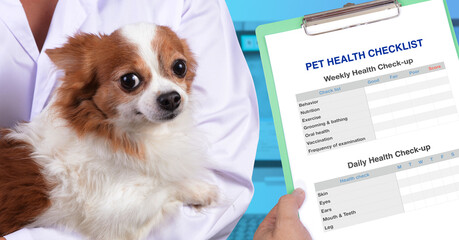 Veterinarian holding chihuahua in her arms and pet health check-up schedule.