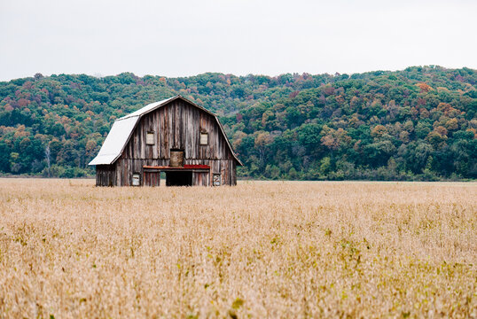 old barn in field with fall colors