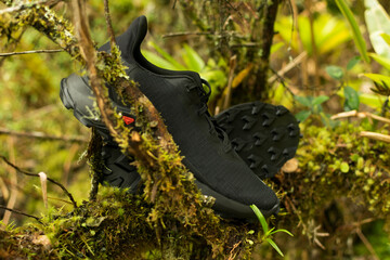zapatos negros deportivos de montaña entre vegetación de montaña