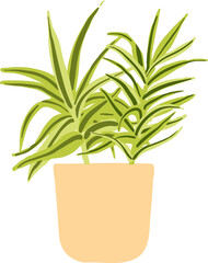Indoor potted plant illustration. Home Decoration. Tropical leaves in stylish planters and pots.