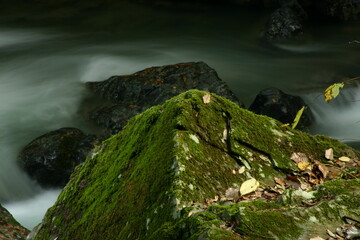 摂津峡を流れる清流　大阪府高槻市