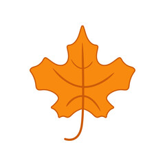 Autumn orange maple leaf. Vector illustration.