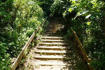 Wooden steps by Buffalo River near Yellville, Arkansas, U.S