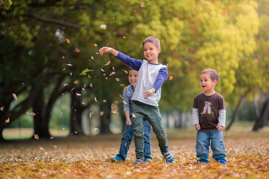 Mixed race boys play in a park with Autumn leaves