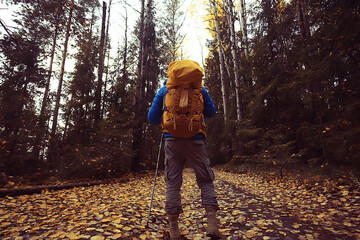 man with  backpack a view from the back, hiking in the forest, autumn landscape, the back of  tourist with a backpack