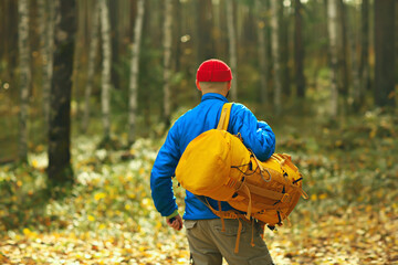 man with  backpack a view from the back, hiking in the forest, autumn landscape, the back of  tourist with a backpack