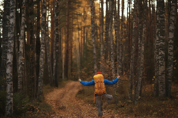 tourist in the autumn forest on a forest road, an adventure in the October forest, one man autumn...