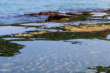 Coast of the Mediterranean Sea in northern Israel.