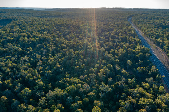 sun flare over native forest with highway cutting through