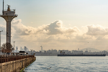 Ukrainian bulk carrier for the transportation of grain carries grain to different countries