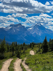 landscape in the mountains