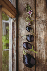 Composition of eggplants of different sizes and shapes on a wooden windowsill.