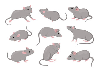 Mouse and rat, isolated mice animals set. Cute rodent characters in different poses on white background, little house pets, simple graphic. Zodiac creature vector cartoon flat illustration