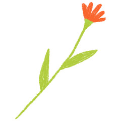 Red flower isolated