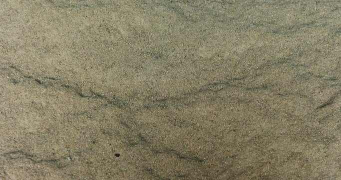 Abstract- texture of grain piles in a large wheet silo