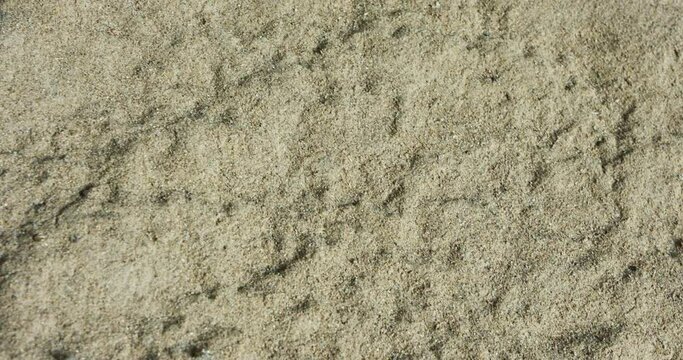 Abstract- texture of grain piles in a large wheet silo