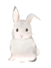 かわいいウサギの挿絵イラスト