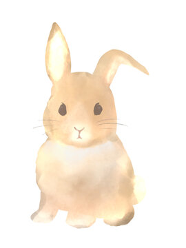かわいいウサギの挿絵イラスト