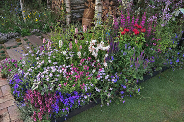 Colourful flower border with mixed planting including Mlonarda, 