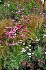 Colourful flower border with Monarda, Echinacea, Astilbes