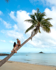 Couple on a coconut palm on a beach