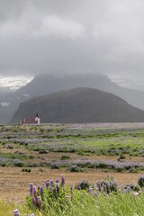 Travel to Iceland, 2013