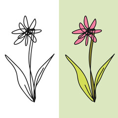Hand drawn withered flower vector illustration