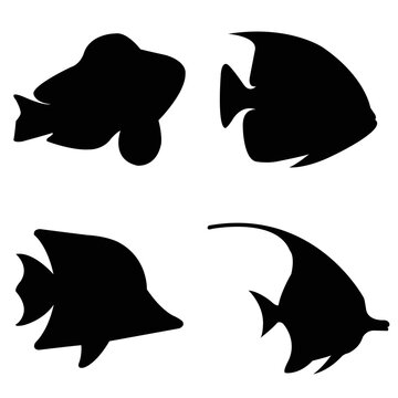 set of fish