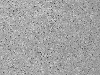 Cement texture pattern gray white background copy space 
