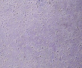 rain drops on the window as background abstract pattern purple copy space