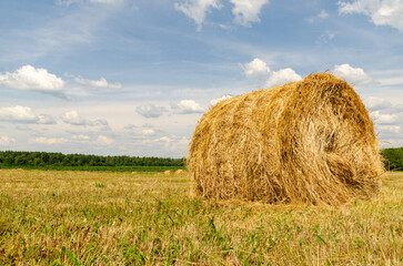 Round bales of straw on the field against the blue sky with clouds, autumn harvest landscape